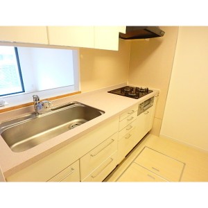 100463_204967_209725_7