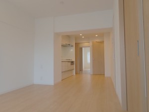 100463_216246_220406_6